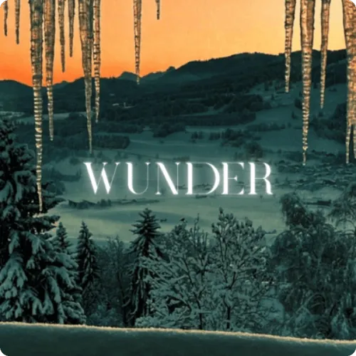 Cover „Wunder“ von Just Us